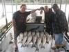 (09/05/2017) - Nice Striped Bass
